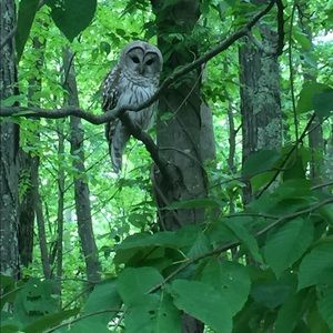 Meet your Posher, Robin